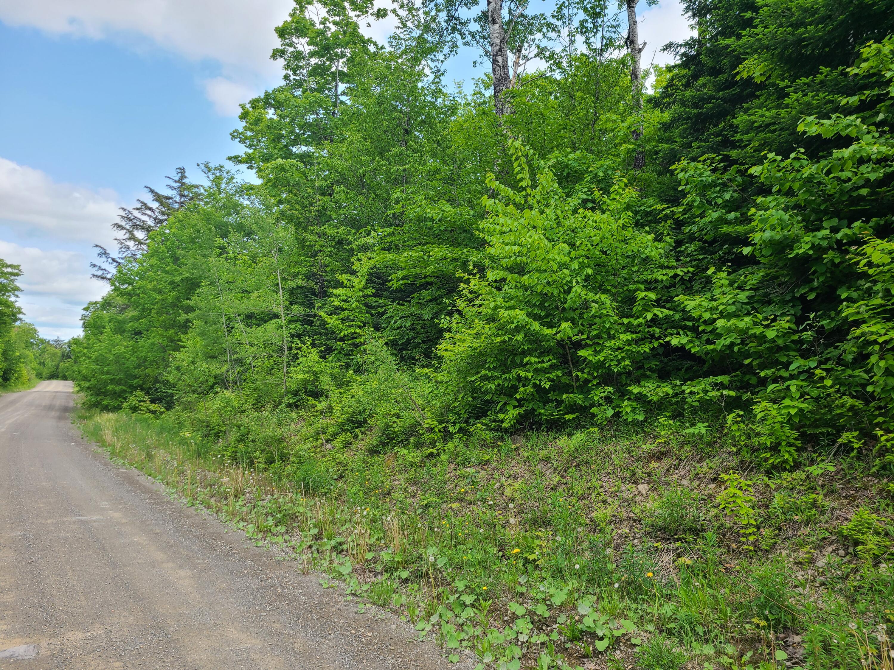 Lot # Kinney Road Blaine, ME 04734 - Photo 2 of 3 20250613_153551
