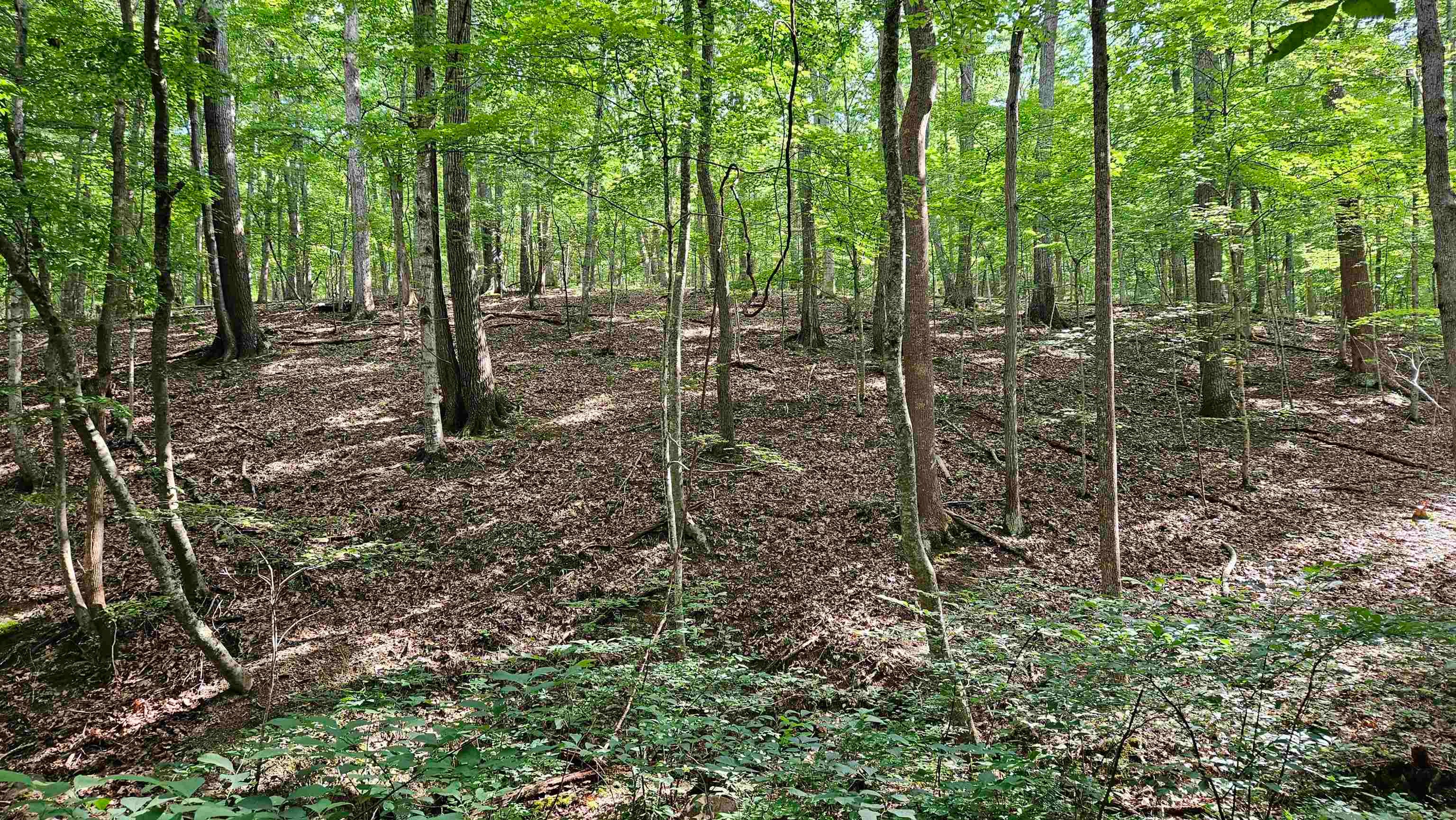 Tbd Reesedale Road Elliston, VA 24087 - Photo 11 of 35 Gallery Image 11