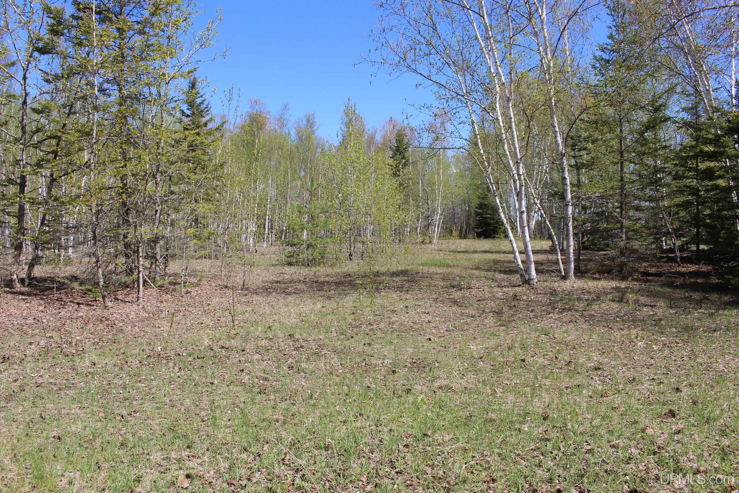 23.5 Rd Gladstone Mi 49837 Road Gladstone, MI 49837 - Photo 40 of 50