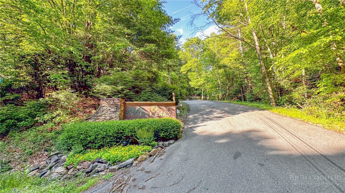 Tbd-13 Peck Peak Road Jefferson, NC 28640 - Photo 14 of 14