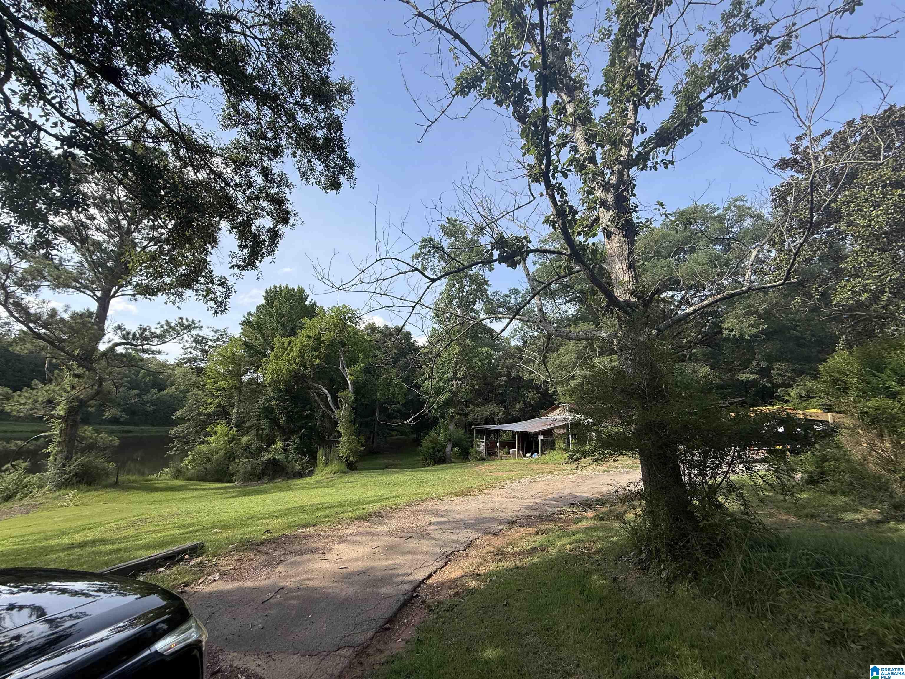 405 Narrows Road Remlap, AL 35133 - Photo 3 of 13