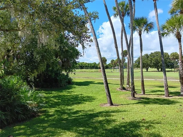 a view of a park with large trees