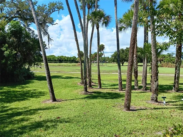 a view of a park with palm trees