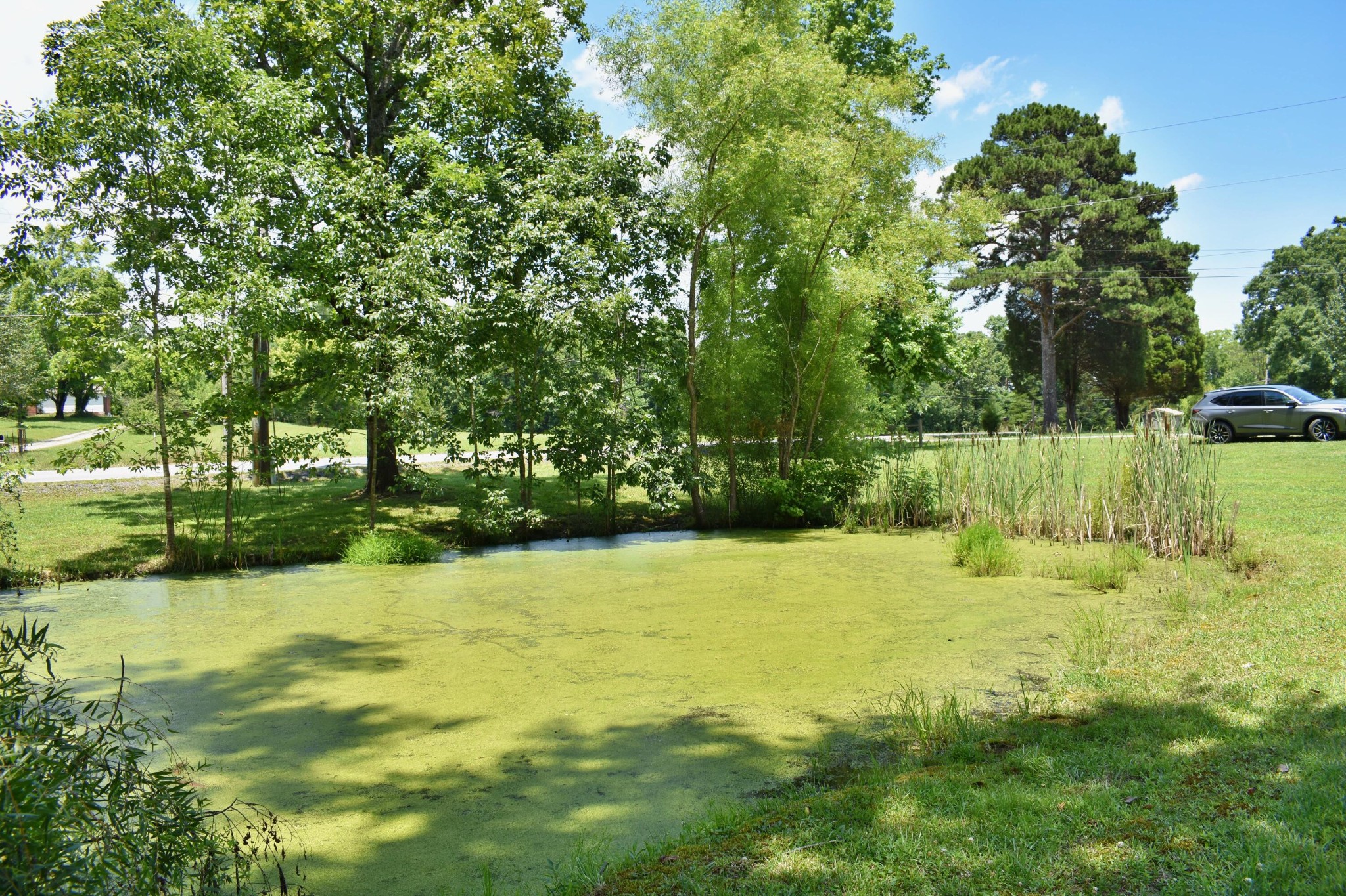 5858 Wolf Creek Road Spring City, TN 37381 - Photo 28 of 76