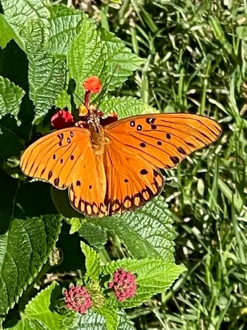 $5,300 | 4721 Ventura Canyon Avenue, Sherman Oaks, CA 91423