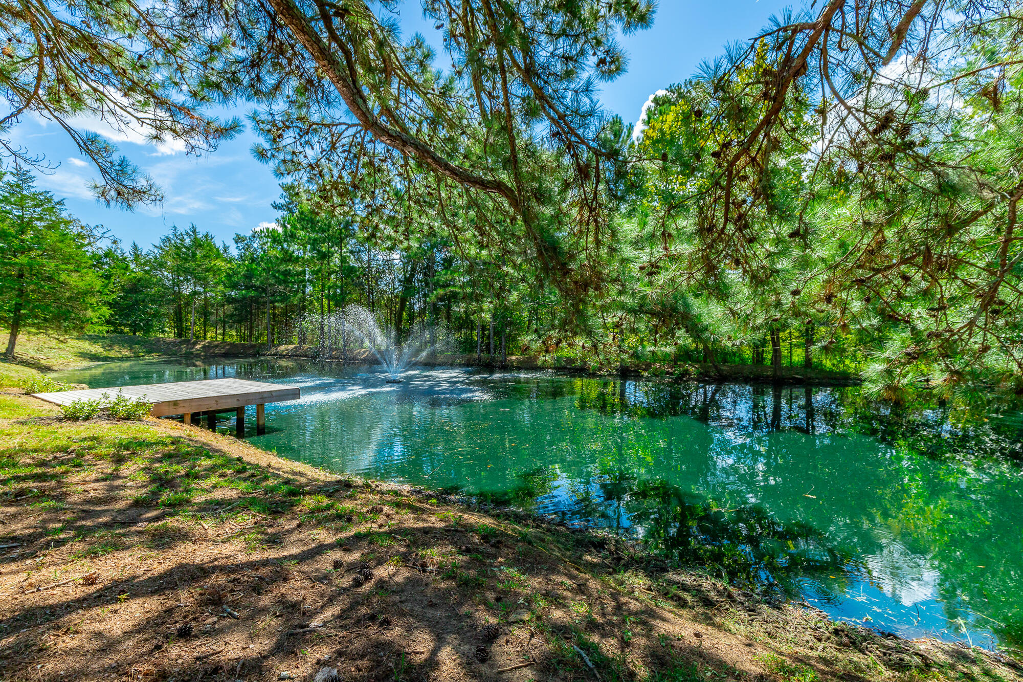 3481 Post Oak Road Ringgold, GA 30736 - Photo 66 of 112 3481 Post Oak Road HD-109