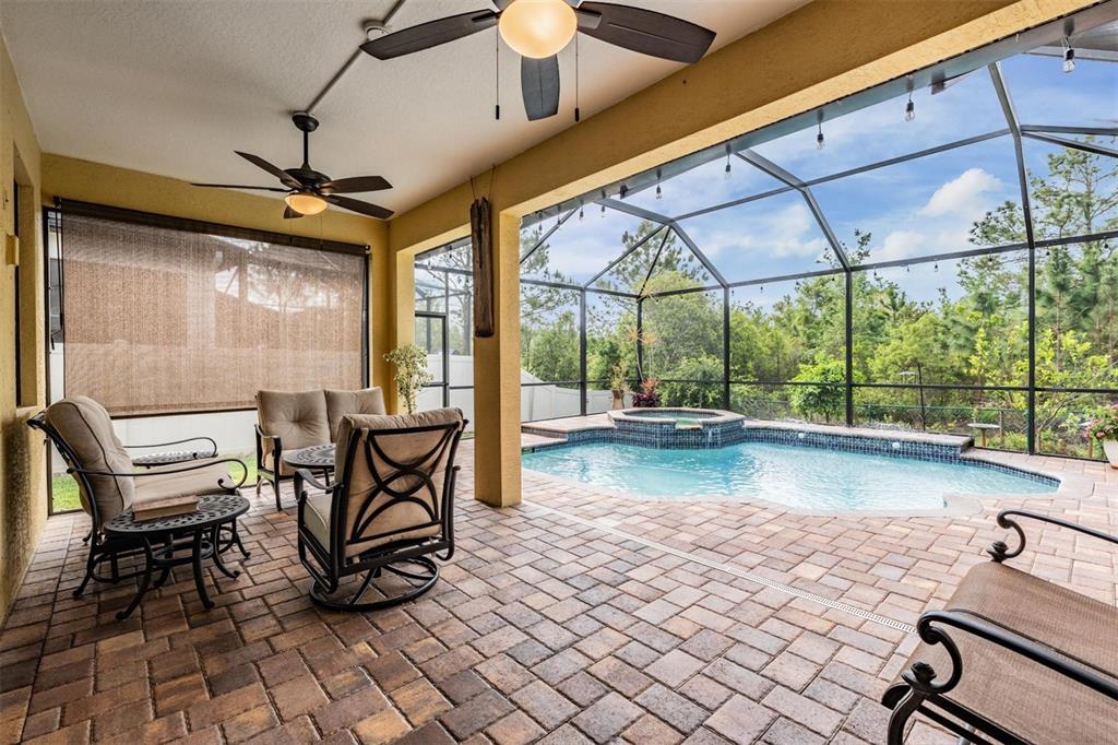 1017 Ketzal Drive Trinity, FL 34655 - Photo 24 of 34 View of pool and greenspace from covered lanai