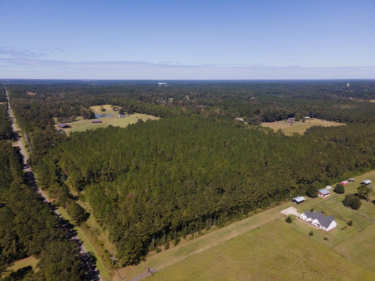 Lot 8 Buck Lake Road Tallahassee, FL 32317 - Photo 1 of 2 Gallery Image 1