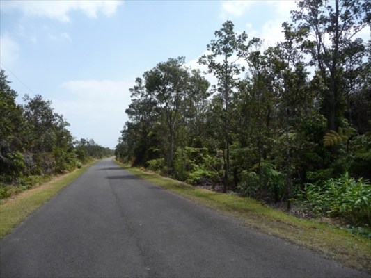 53 B Street Volcano, HI 96785 - Photo 1 of 3 Gallery Image 1