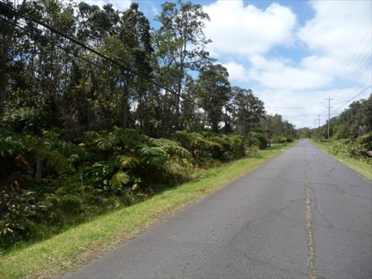 53 B Street Volcano, HI 96785 - Photo 3 of 3 Gallery Image 3