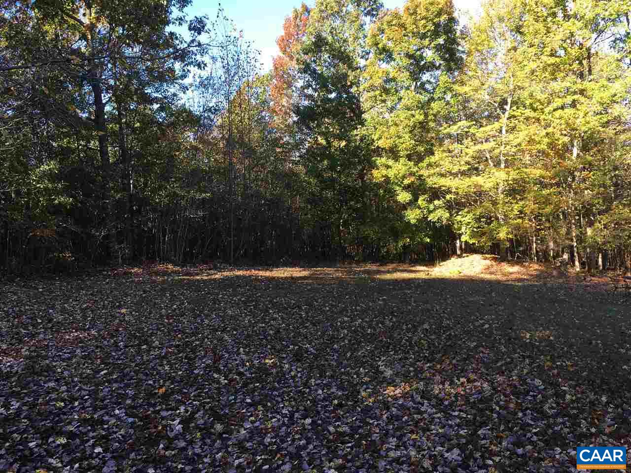 1017 Rock Quarry Road Louisa, VA 23093 - Photo 4 of 10 Gallery Image 4
