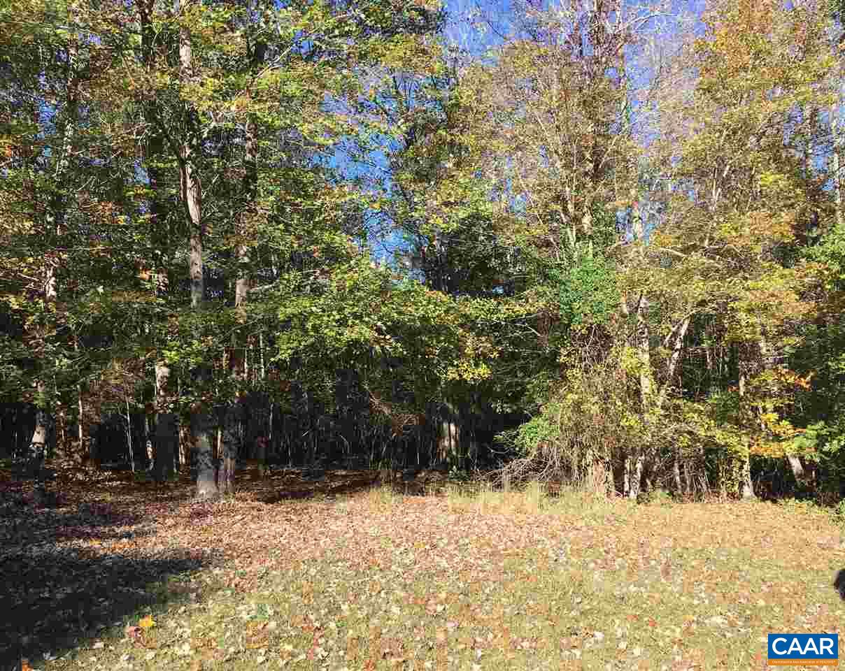 1017 Rock Quarry Road Louisa, VA 23093 - Photo 5 of 10 Gallery Image 5