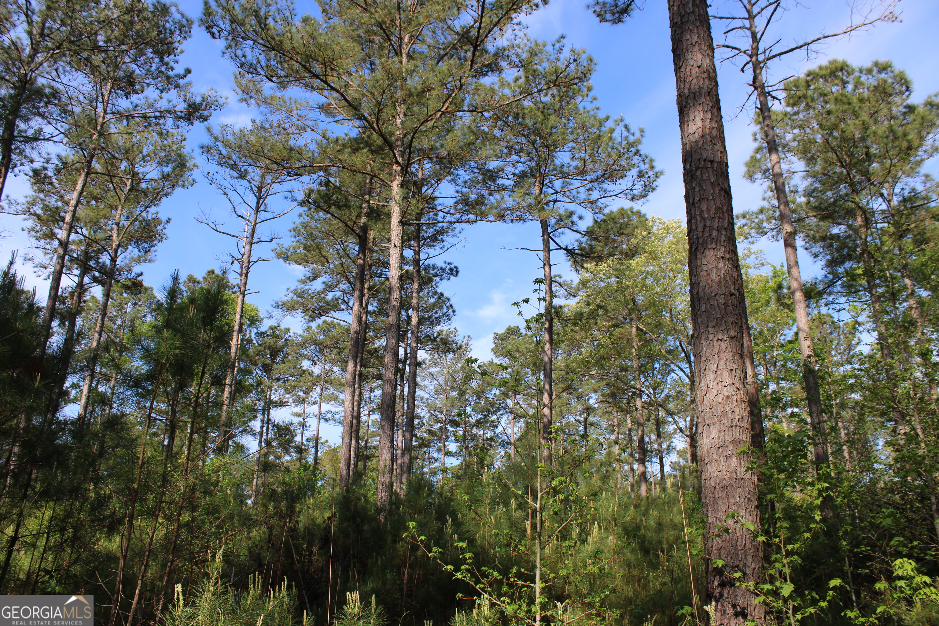 0 Ruffner Road The Rock, GA 30285 - Photo 16 of 51
