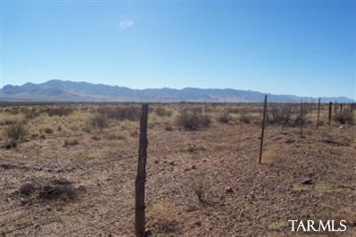 0 170th Highway Rodeo, AZ 88056 - Photo 3 of 3
