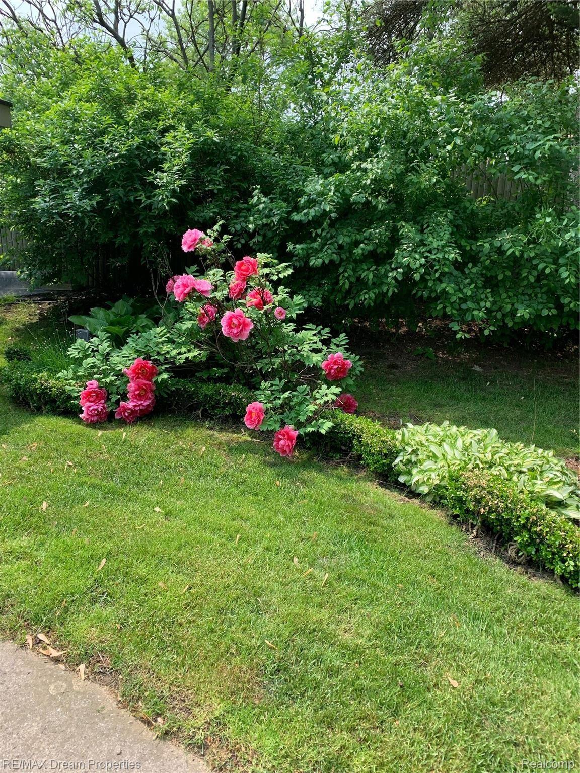 33477 Quaker Valley Road Farmington, MI 48331 - Photo 6 of 23 IMG-3795.jpeg