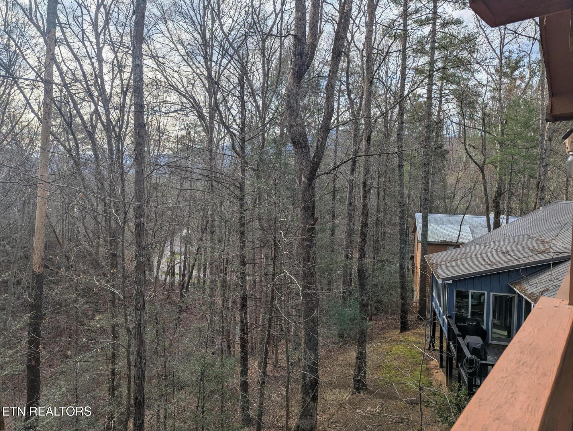 114 Cutter Gap Road Townsend, TN 37882 - Photo 13 of 15 PXL_20260315_141537407.MP