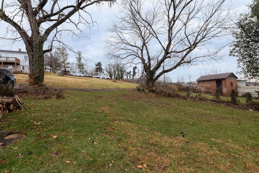 787 North Liberty Street Harrisonburg, VA 22802 - Photo 6 of 34 a view of a yard with a large tree
