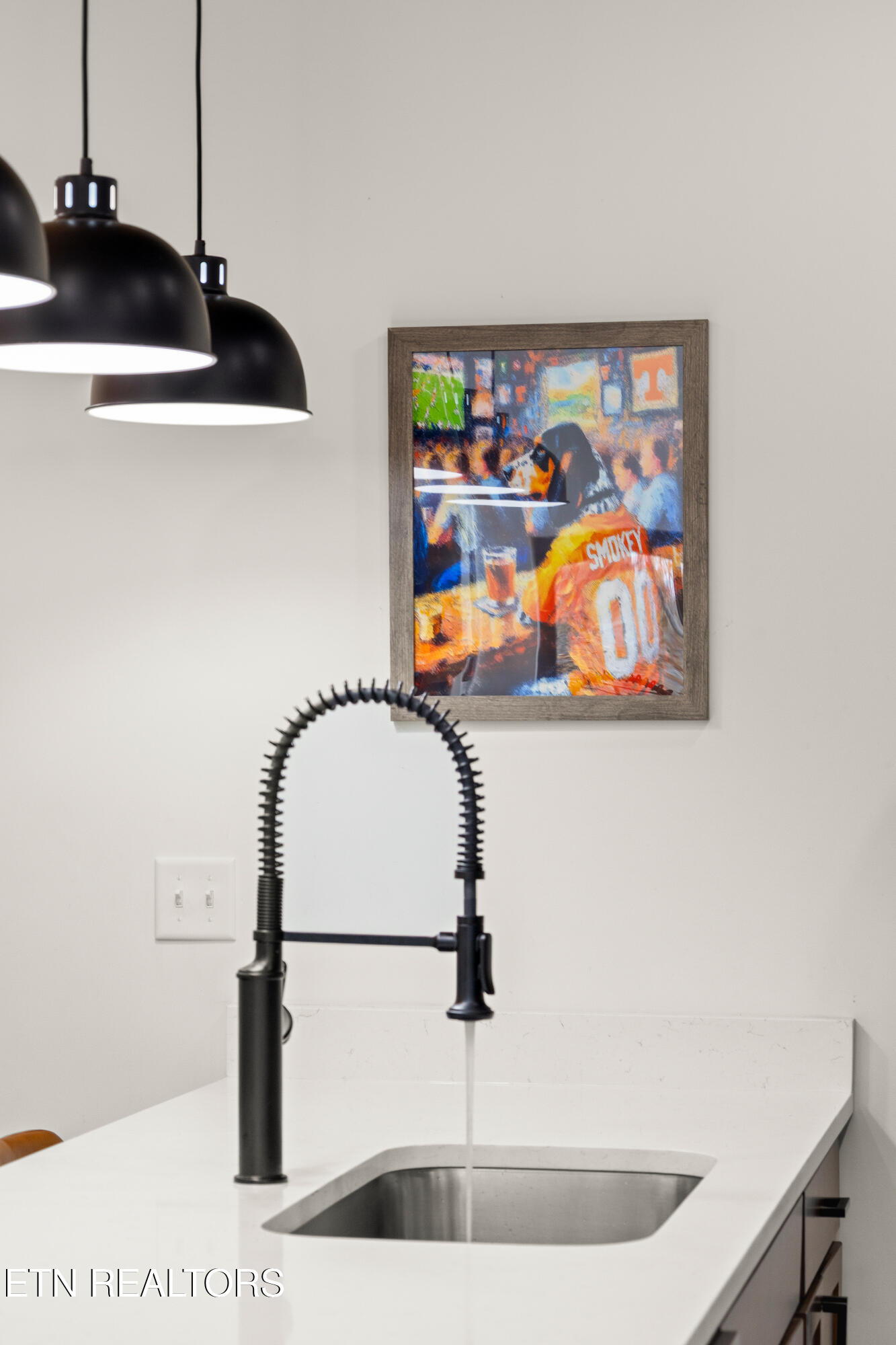 1349 Reedmont Way Sevierville, TN 37876 - Photo 10 of 32 06-128A8774