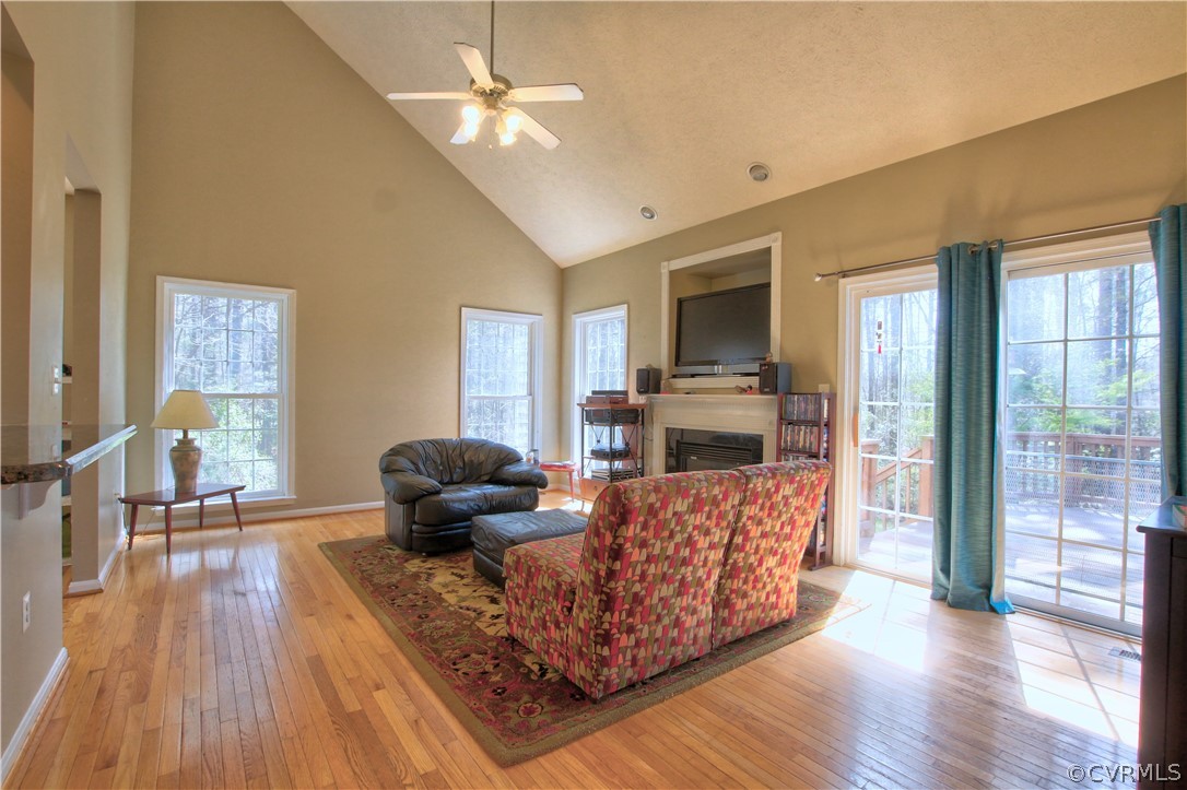 14477 Overlook Ridge Lane Beaverdam, VA 23015 - Photo 20 of 50 FAMILY ROOM W/ HW FLOORS, VAULTED CEILING, SLIDING