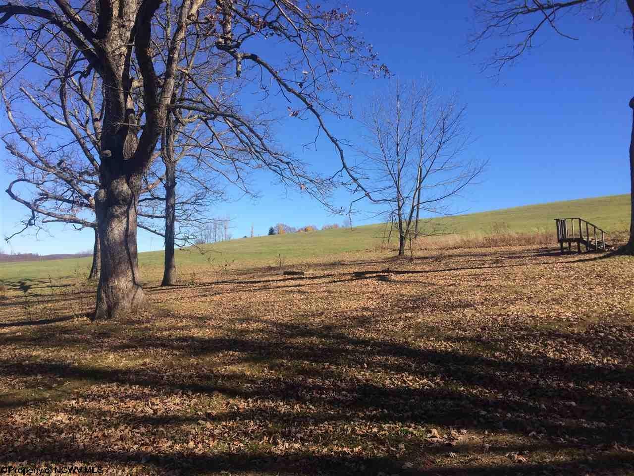 3398 Spruce Run Road Terra Alta, WV 26764 - Photo 6 of 19 Gallery Image 6