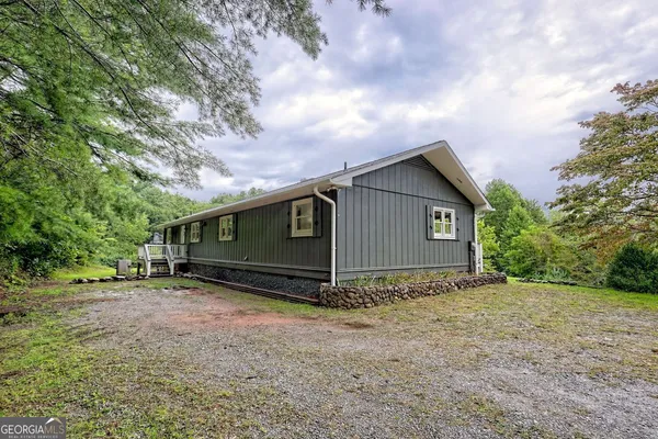 a view of backyard with large tree