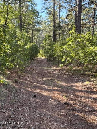 $1,622,000 | 178 Laurel Oak Lane, Pinebluff, NC 28373