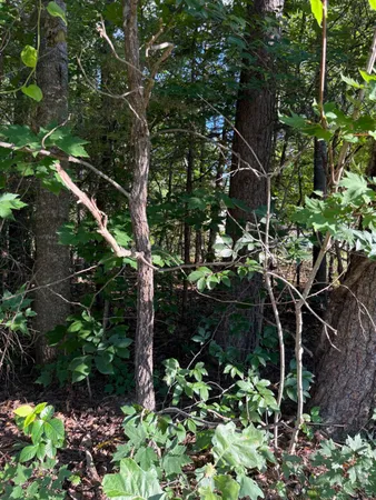 $399,900 | Kirtley Trail, Culpeper, VA 22701