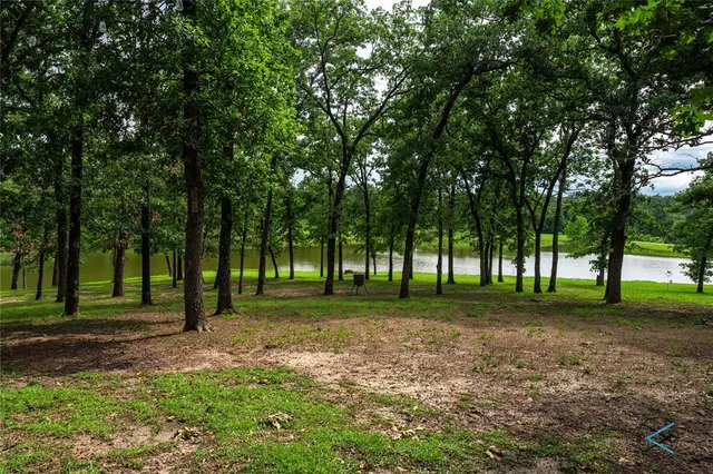 a view of a park with a tree in the background