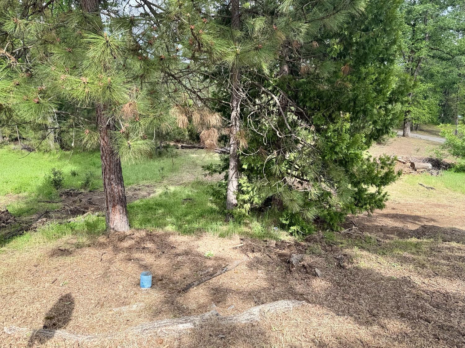 65 Harris Road Mariposa, CA 95338 - Photo 13 of 18 Gallery Image 13