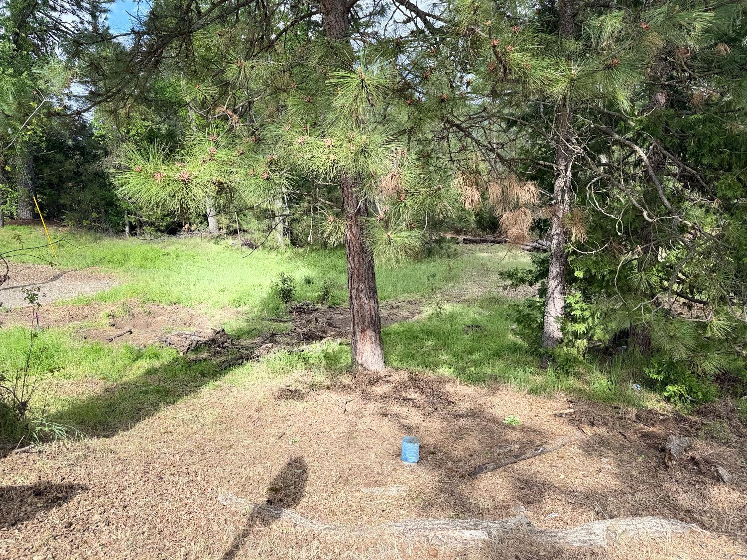 65 Harris Road Mariposa, CA 95338 - Photo 14 of 18 Gallery Image 14