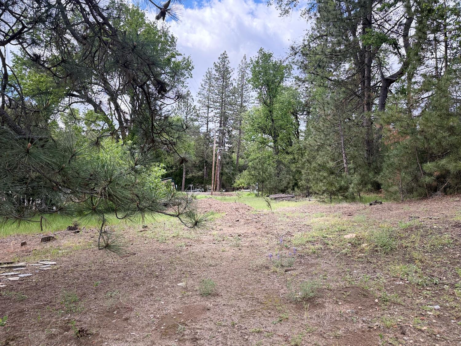 65 Harris Road Mariposa, CA 95338 - Photo 9 of 18 Gallery Image 9