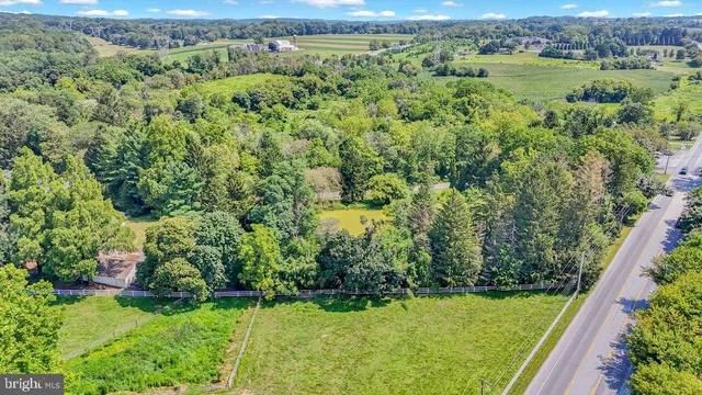 a view of a yard with plants and large trees
