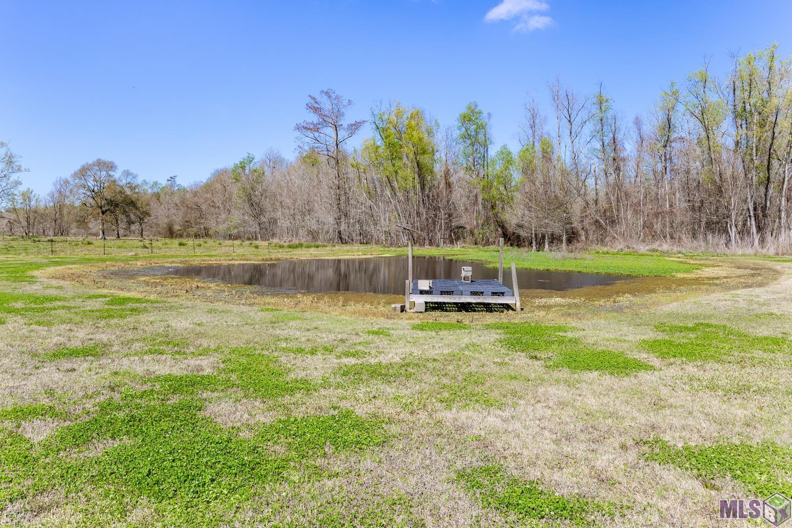 28010 Intracoastal Road Plaquemine, LA 70764 - Photo 41 of 45