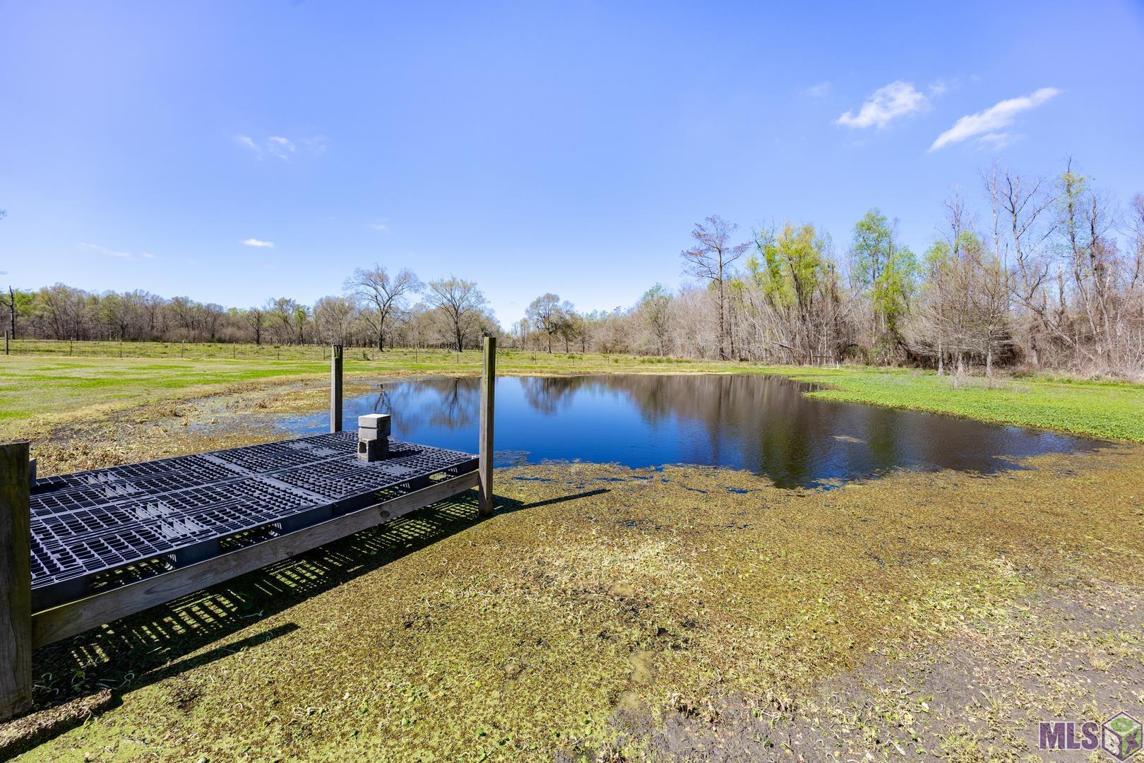 28010 Intracoastal Road Plaquemine, LA 70764 - Photo 42 of 45