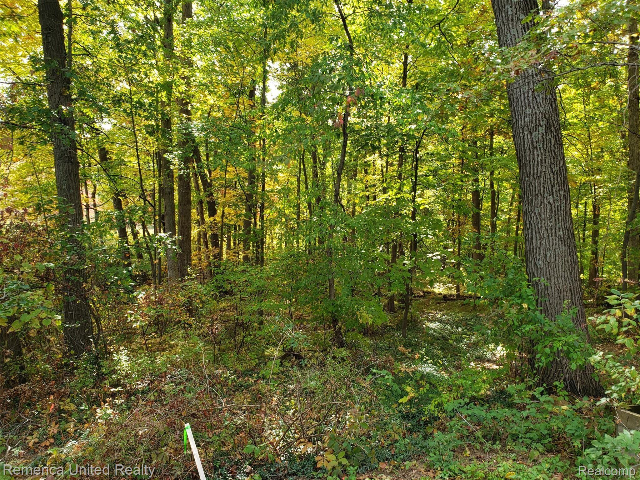 1779 Clark Lake Road Brighton, MI 48114 - Photo 36 of 52 20201006_140201.jpg