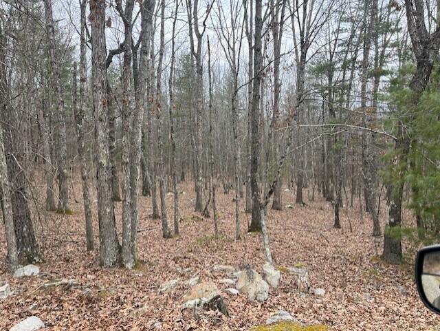 384 Easy Slope Lane New Castle, VA 24127 - Photo 4 of 7 a view of a yard with trees in the background