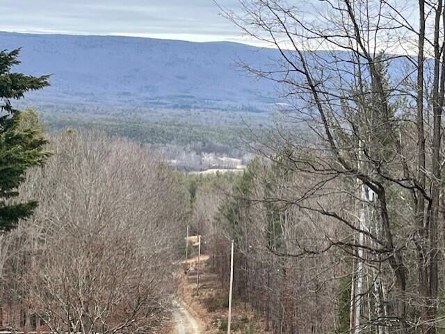 384 Easy Slope Lane New Castle, VA 24127 - Photo 9 of 21 2 drive way
