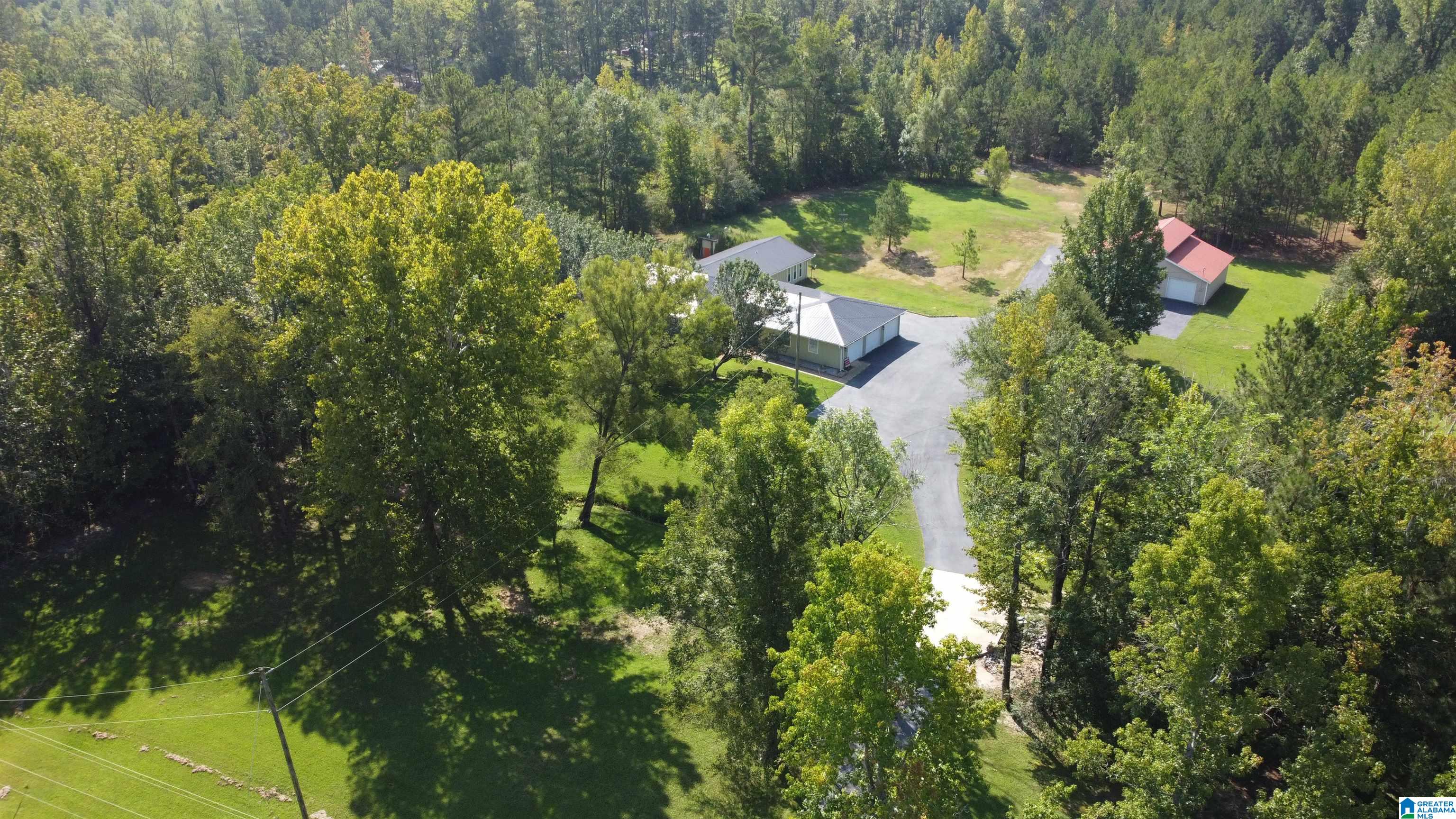 3304 Possum Trot Road Piedmont, AL 36272 - Photo 37 of 60