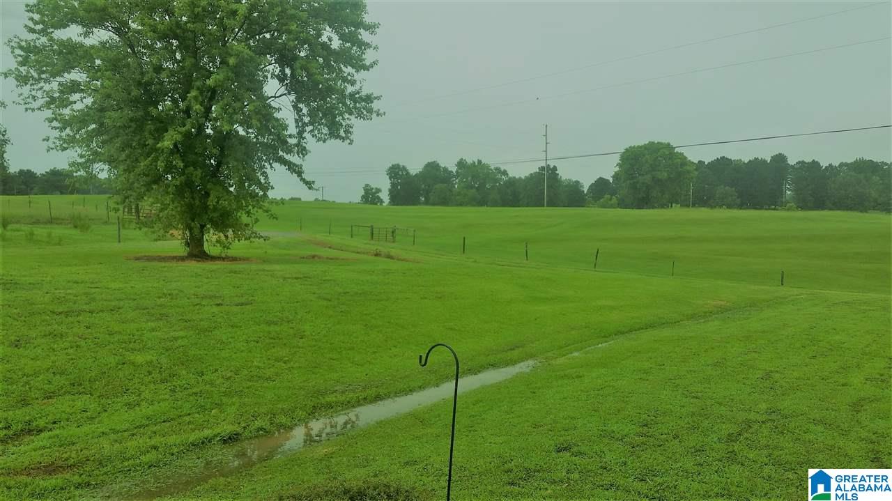 3951 County Road 940 Cullman, AL 35057 - Photo 3 of 17
