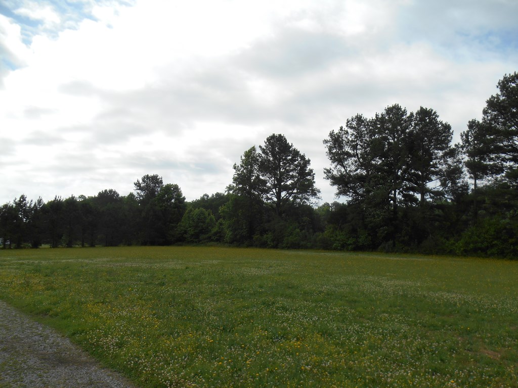 0 Logan Road Onley, VA 23418 - Photo 8 of 12