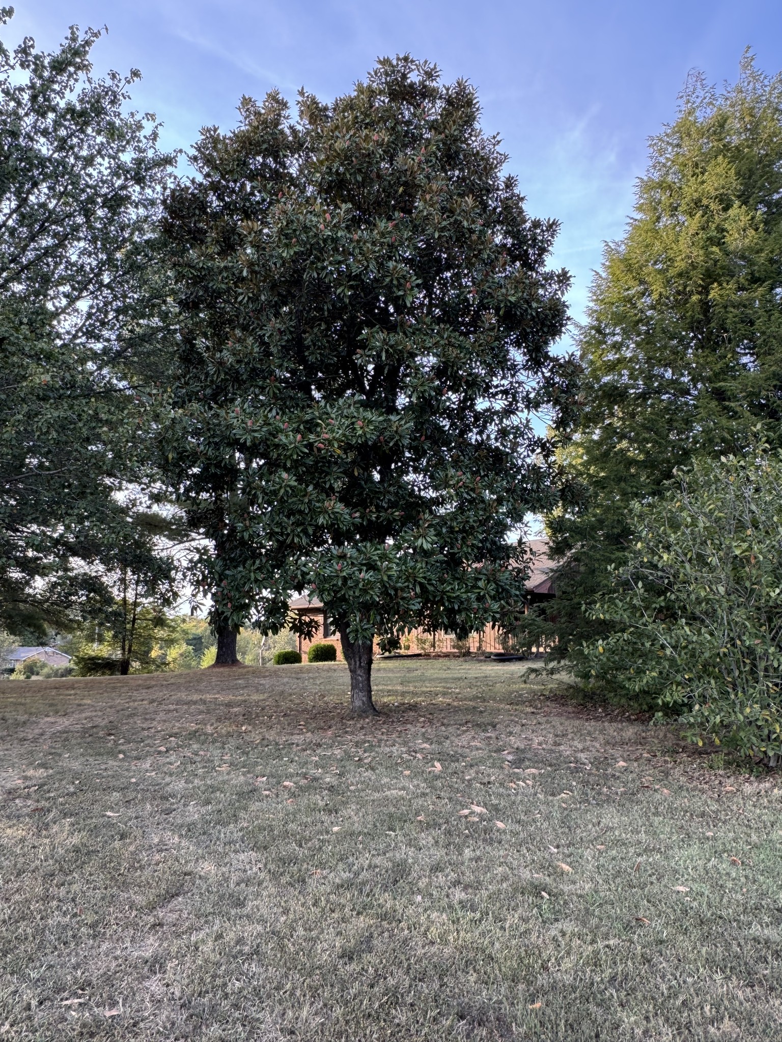 3068 Joe Dowlen Road Pleasant View, TN 37146 - Photo 10 of 42 Gallery Image 10