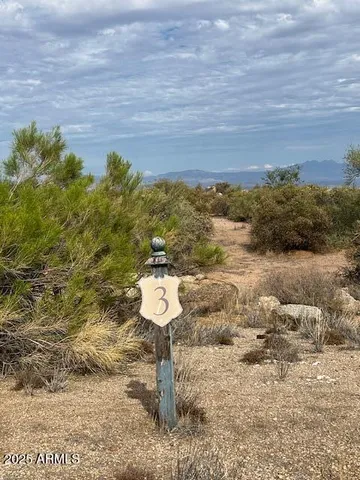 a view of a big yard with a mountain