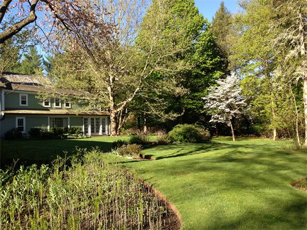 42 Topsfield Road Boxford, MA 01921 - Photo 25 of 30 a view of a big yard with plants and large trees