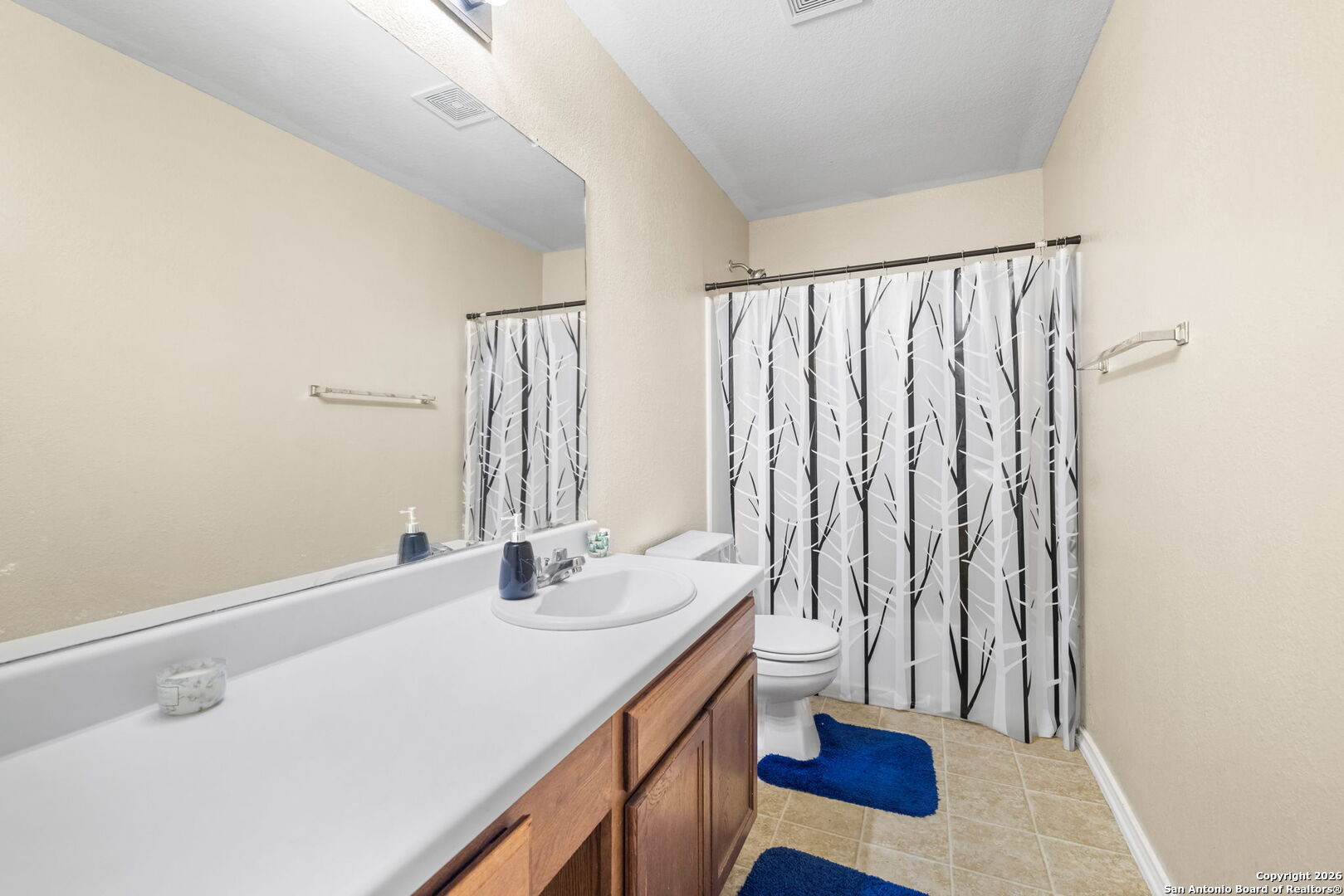 6522 Charles Field Leon Valley, TX 78238 - Photo 27 of 30 a bathroom with a sink a toilet and a mirror