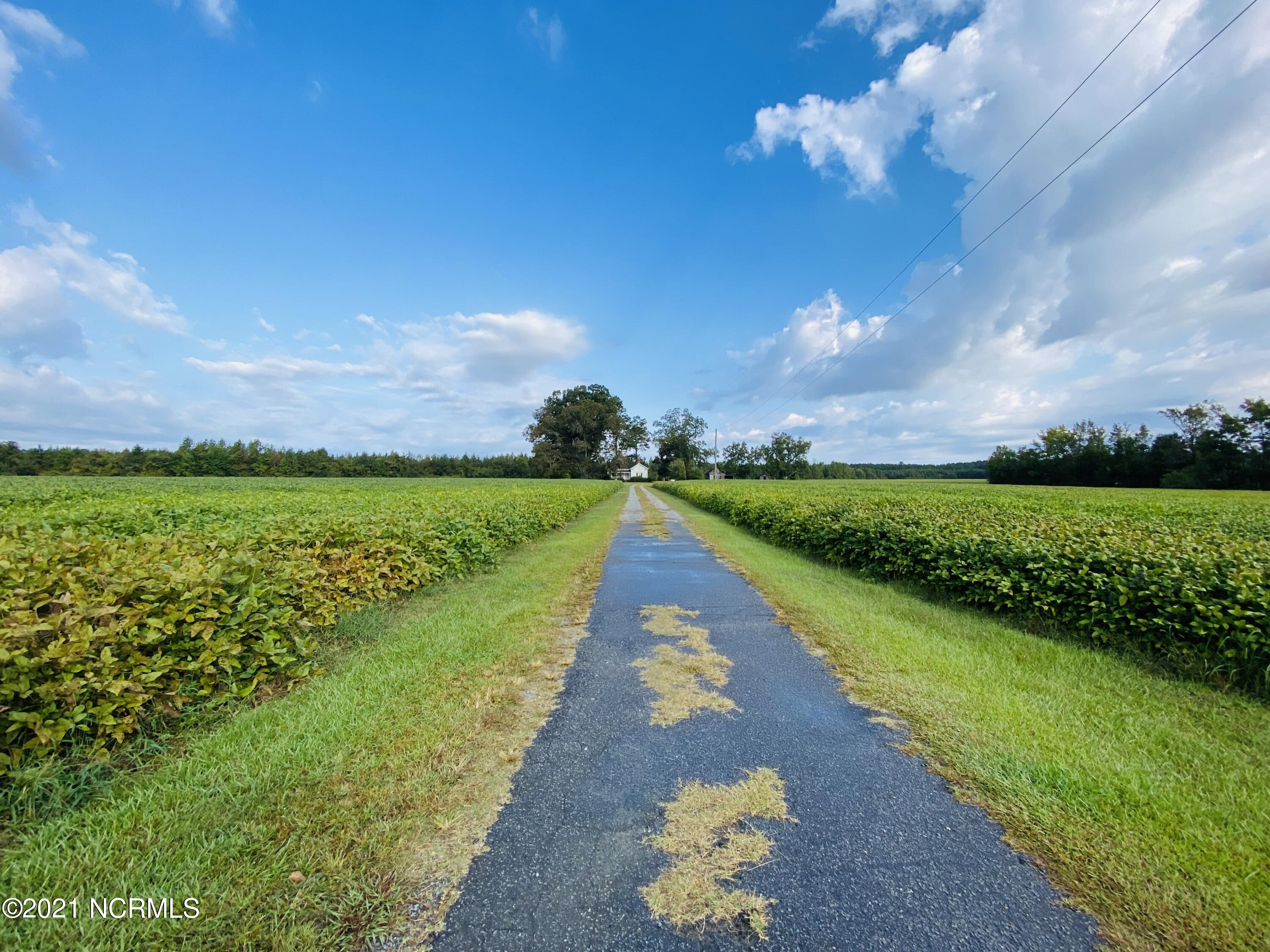 6298 Allen Gay Road Farmville, NC 27828 - Photo 27 of 29 long front driveway