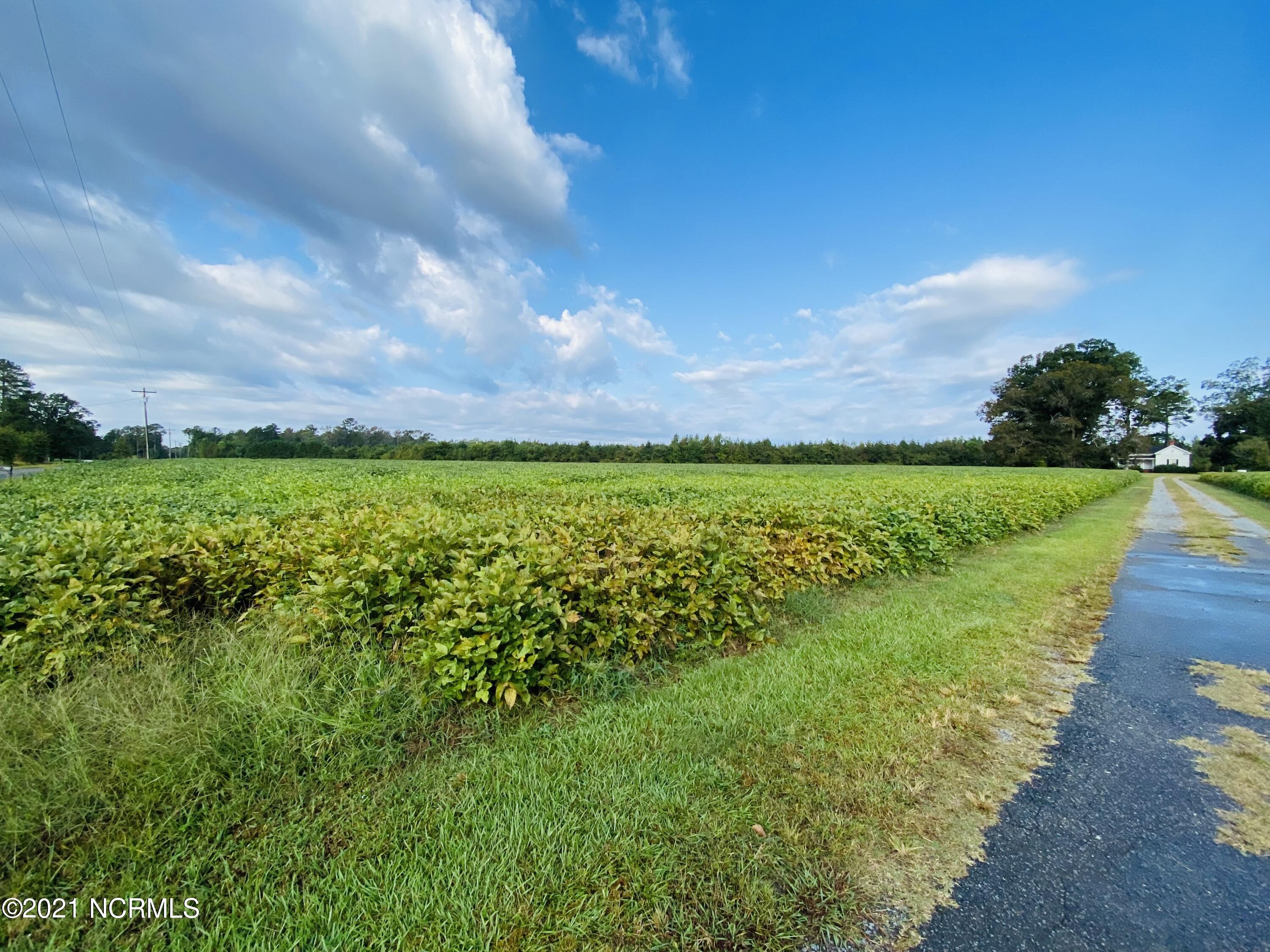 6298 Allen Gay Road Farmville, NC 27828 - Photo 29 of 29 IMG_2634
