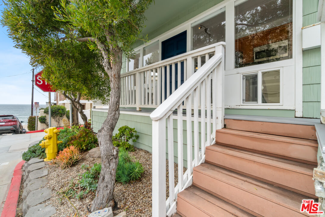 115 44th Street Manhattan Beach, CA 90266 - Photo 5 of 38 a view of staircase with large trees and plants