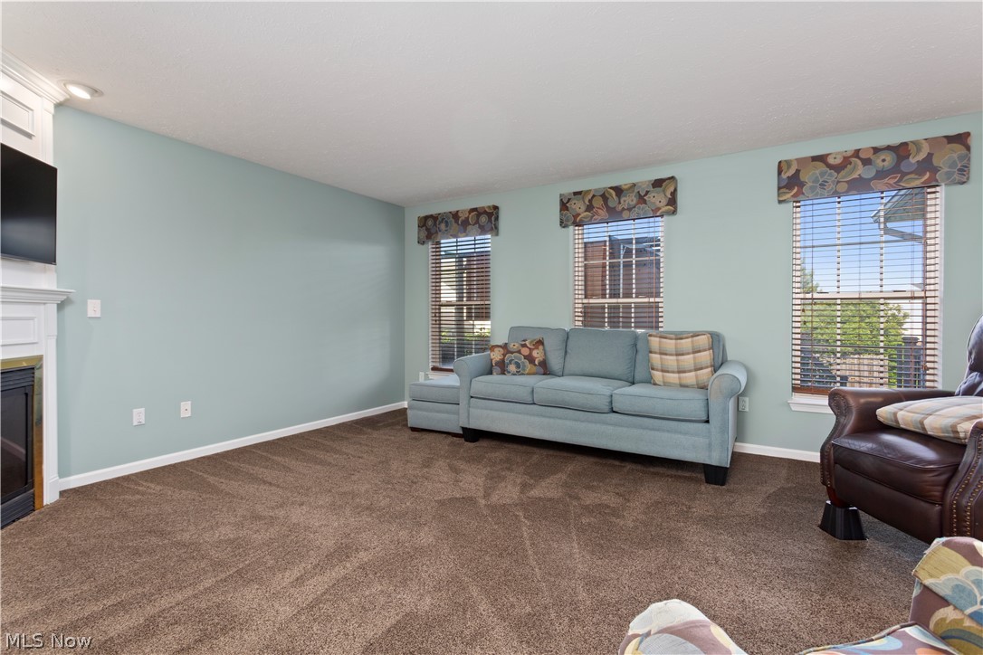 5320 Otten Road North Ridgeville, OH 44039 - Photo 11 of 29 Gallery Image 11