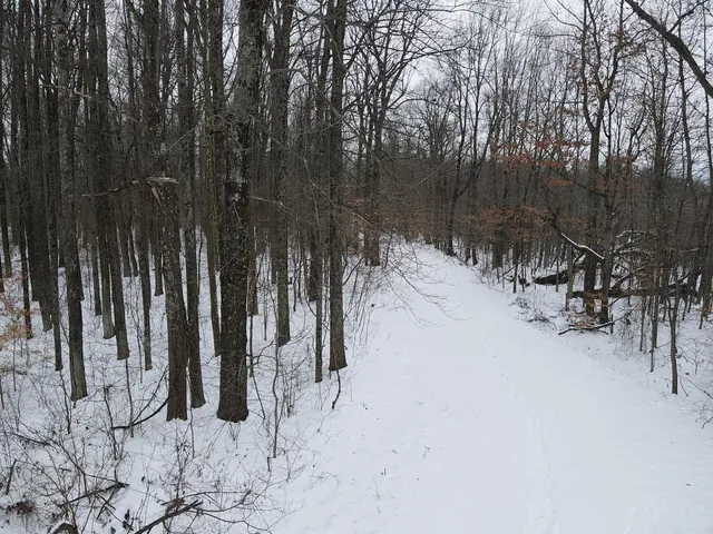 $1,120,000 | 0 Lemon Road, Versailles, IN 47042