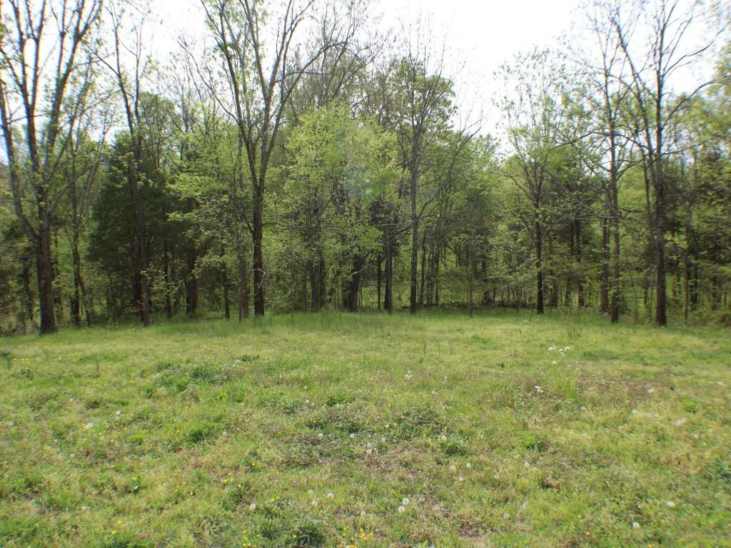 0 Garrett Hill Road Greeneville, TN 37743 - Photo 8 of 10 Photo 8